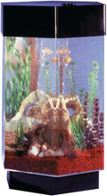 Fountain Aqua 15 Gallon Scape Hexagon Aquarium Kit