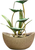 Desktop Fountain Tabletop Fountain Desktop 4-Tier Indoor Green Iron Lotus Leaf Relaxation Fountains Waterfall Office Home Decor