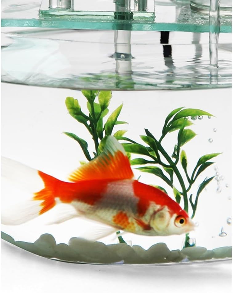 Relaxing Original Small Creative Glass Tabletop Fountain Home Aquarium with Water Flow Decor for Living Room Tv Cabinet Indoor