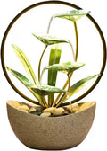 Tabletop Fountain Tabletop Fountains Indoor Lotus Leaf Relaxation Waterfall Decoration Fountain with Round Scene Light, L 11.8'×W 7.0'×H 15.3'