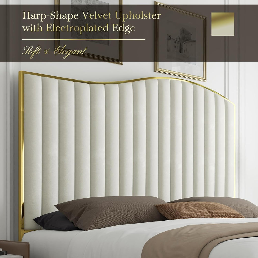 HOWE Queen Size Harp Bed Frame with 61.4' Extra Tall Curved Headboard, Velvet Upholstered Platform Bed with Gold Trim Accented Footboard, No Box Spring Needed, Wooden Slat Support, Cream