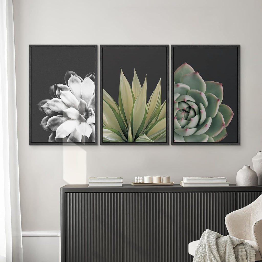 SIGNWIN Framed Wall Art Print Set Echeveria Succulent Variety Nature Plants Photography Modern Art Closeup Relax/Calm Dark Black and White for Living Room, Bedroom, Office - 24'x36'x3 Black