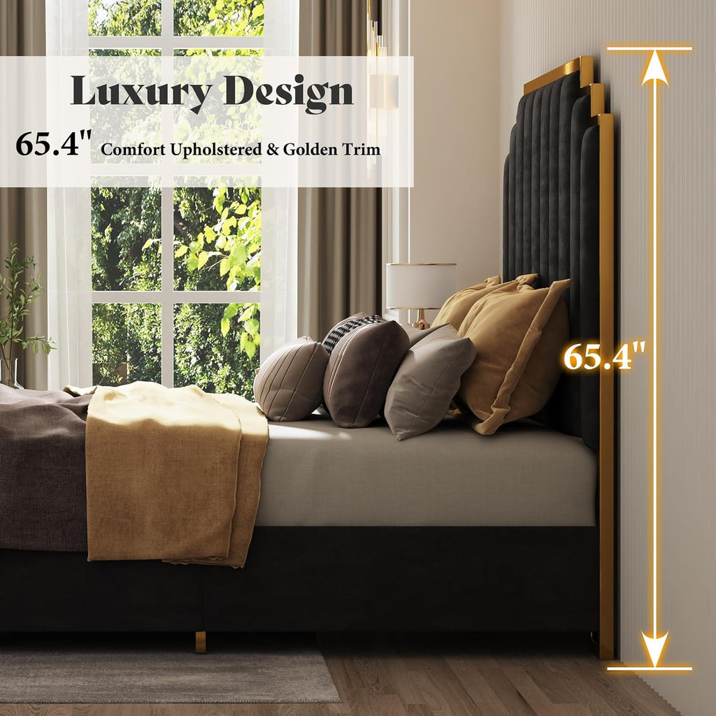AMERLIFE King Size Upholstered Bed, Modern Velvet Bed Frame with 65.4' Tall Gold Trim Headboard, No Box Spring Needed, Black