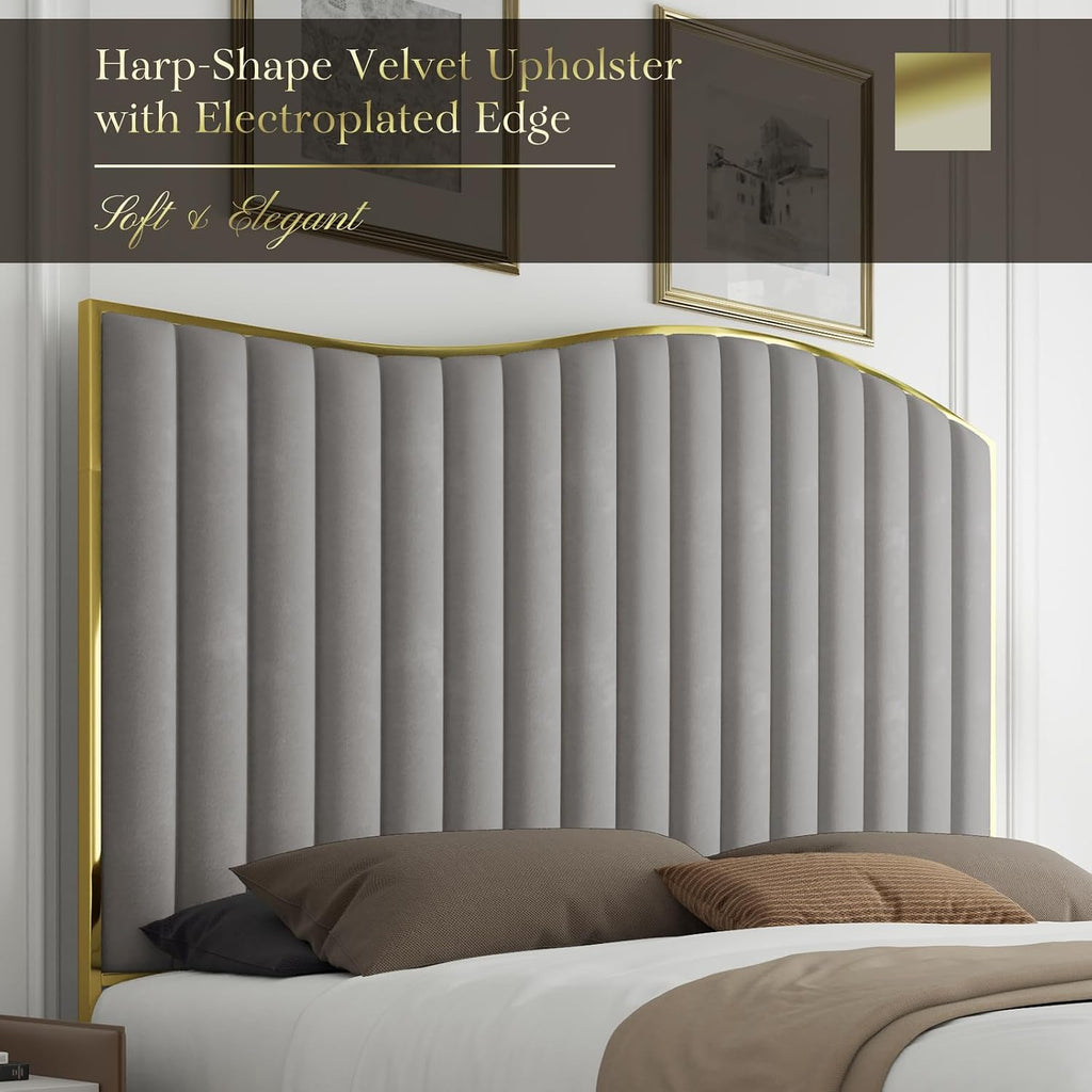 HOWE King Size Harp Bed Frame with 61.4' Extra Tall Curved Headboard, Velvet Upholstered Platform Bed with Gold Trim Accented Footboard, No Box Spring Needed, Wooden Slat Support, Light Grey