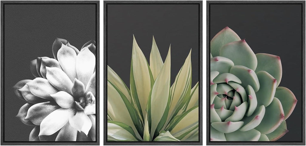 SIGNWIN Framed Wall Art Print Set Echeveria Succulent Variety Nature Plants Photography Modern Art Closeup Relax/Calm Dark Black and White for Living Room, Bedroom, Office - 24'x36'x3 Black
