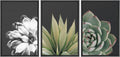 SIGNWIN Framed Wall Art Print Set Echeveria Succulent Variety Nature Plants Photography Modern Art Closeup Relax/Calm Dark Black and White for Living Room, Bedroom, Office - 24'x36'x3 Black