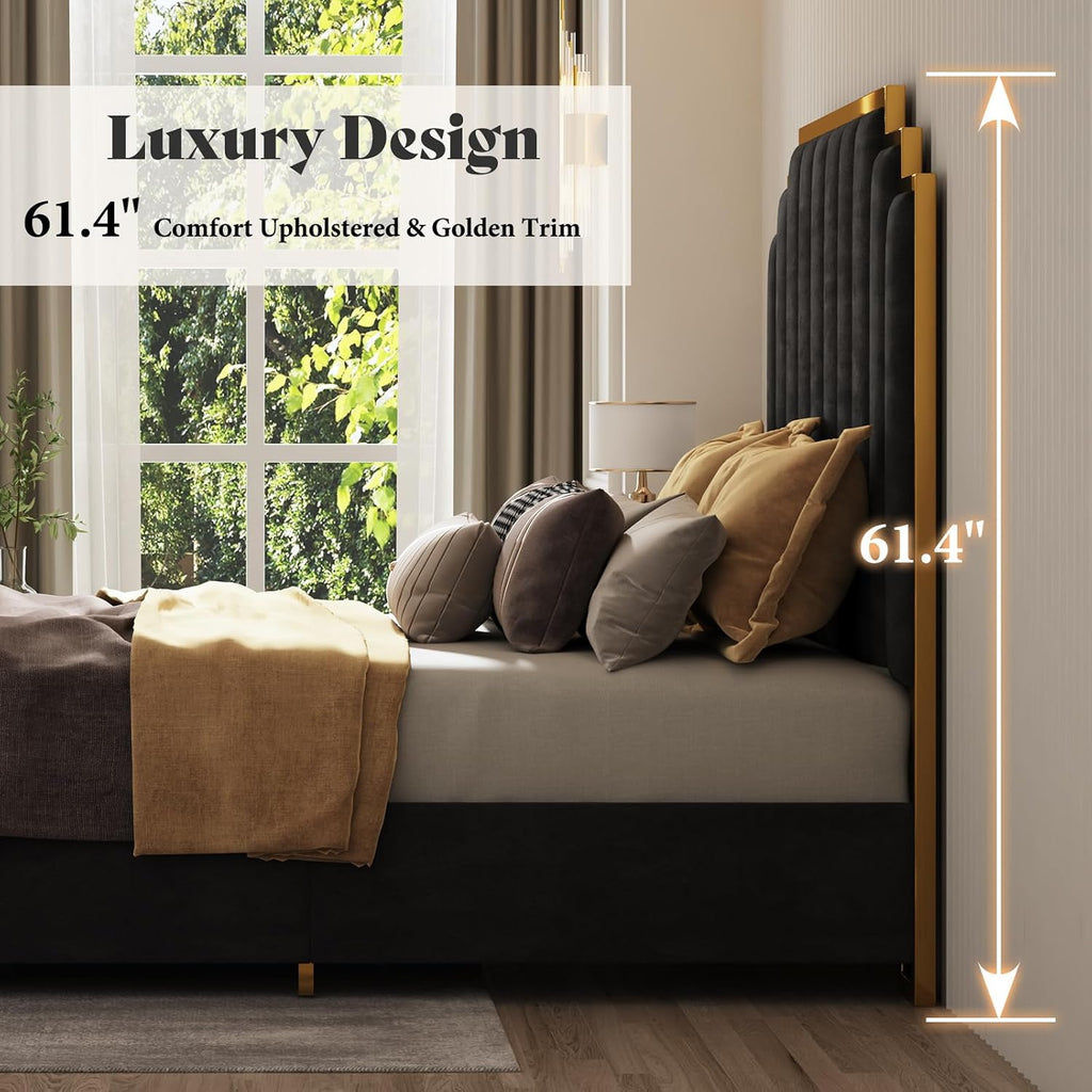 AMERLIFE Queen Size Upholstered Bed, Modern Velvet Bed Frame with 61.4' Tall Gold Trim Headboard, No Box Spring Needed, Black
