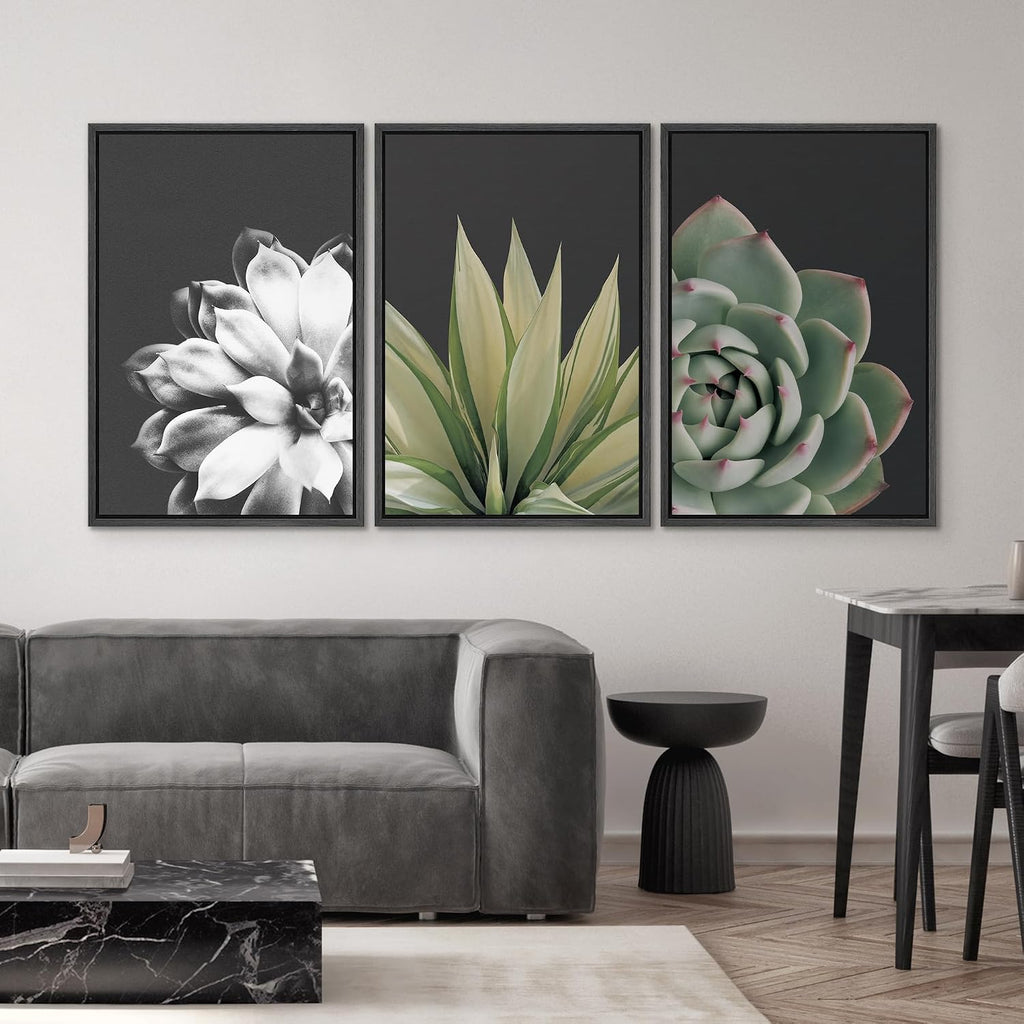 SIGNWIN Framed Wall Art Print Set Echeveria Succulent Variety Nature Plants Photography Modern Art Closeup Relax/Calm Dark Black and White for Living Room, Bedroom, Office - 24'x36'x3 Black