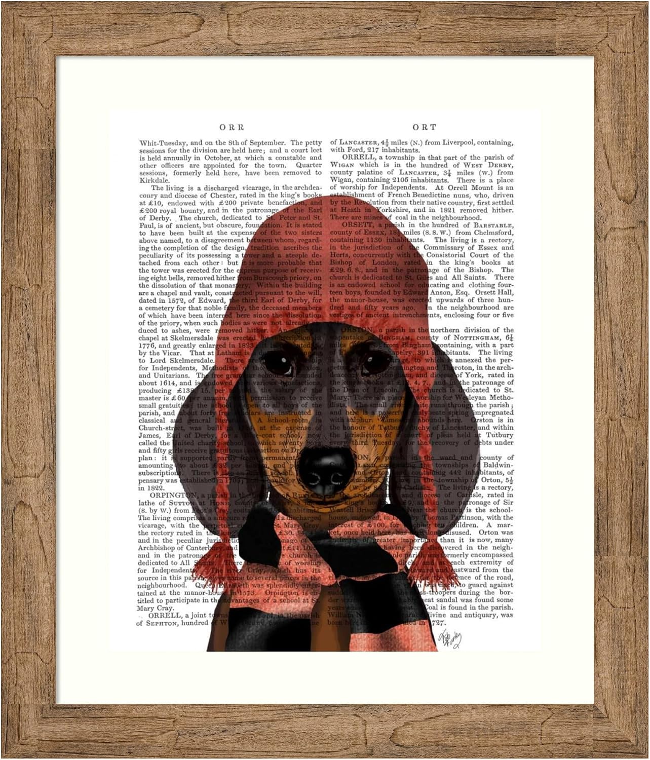 Amanti Art Framed Wall Art Print 28x24 Dachshund in Pink Hat and Scarf by Fab Funky, Animals Wall Art, Vintage Decor, Medium Poster Painting Artwork for Living Room, Bedroom, Bathroom, Kitchen,