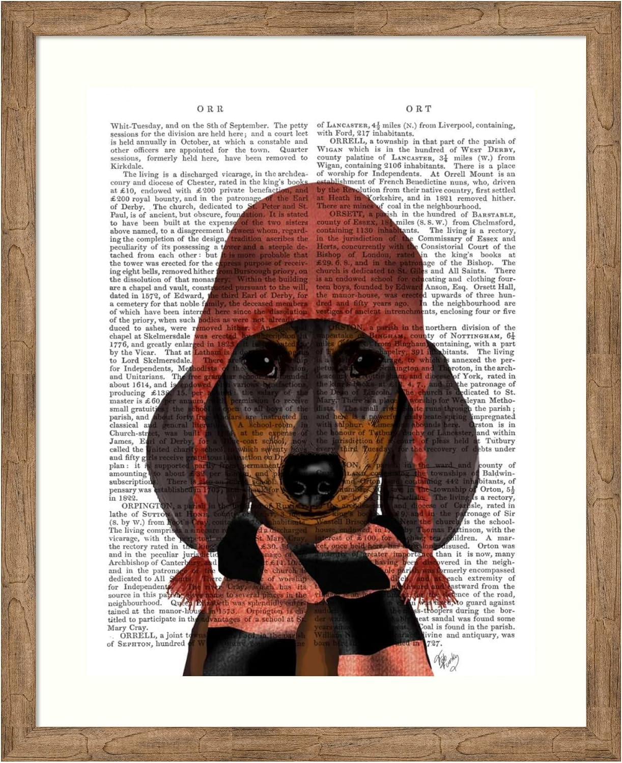 Amanti Art Framed Wall Art Print 44x36 Dachshund in Pink Hat and Scarf by Fab Funky, Animals Wall Art, Vintage Decor, X-Large Poster Painting Artwork for Living Room, Bedroom, Bathroom, Kitchen,