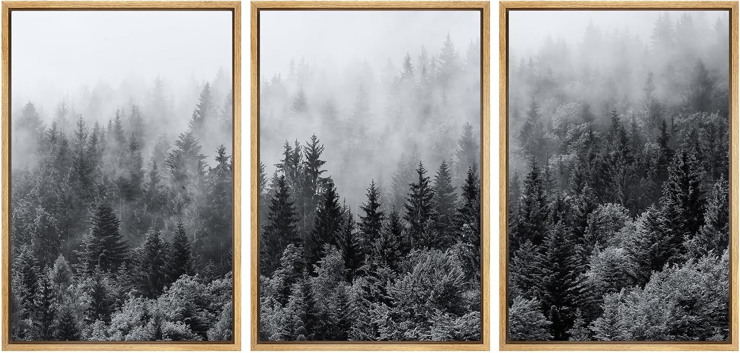 SIGNWIN Framed Canvas Print Wall Art Set Black & White Misty Mountain Forest Nature Wilderness Photography Modern Art Chic Landscape Relax/Calm for Living Room, Bedroom, Office - 16'x24'x3 Natural