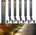 LEONLITE 5CCT Low Voltage Path Lights, Update 1800K2700K3000K4000K5000K Selectable, 3W LED Landscape Pathway Lights, Outdoor Landscape Lighting, Aluminum, 12-24V AC/DC, ETL, IP65, Pack of 6