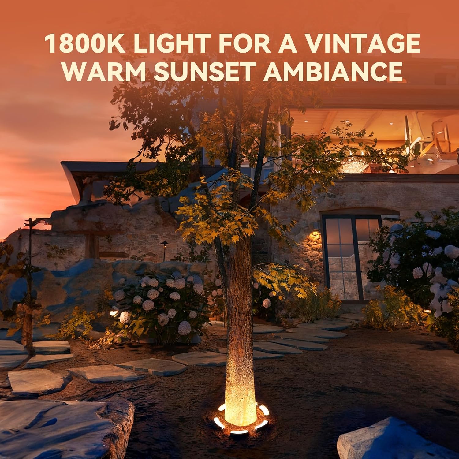 LEONLITE Update 5CCT Low Voltage Landscape Tree Ring Lights, AC/DC 12-24V, 750LM 11W/PCS Aluminum IP65 Landscape Spotlights for Big Tree&Palm Tree, 1800K/2700K/3000K/4000K/5000K, Pack of 6