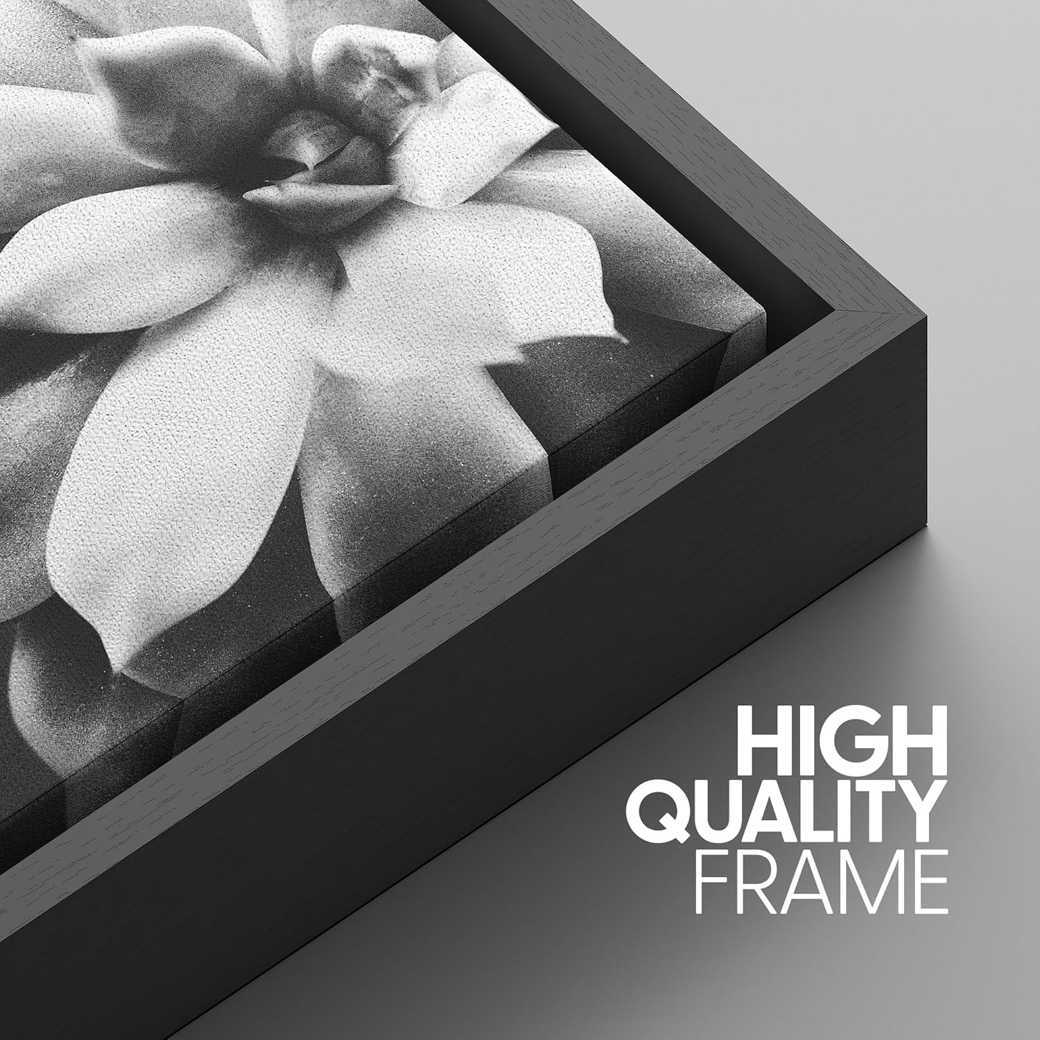 SIGNWIN Framed Wall Art Print Set Echeveria Succulent Variety Nature Plants Photography Modern Art Closeup Relax/Calm Dark Black and White for Living Room, Bedroom, Office - 24'x36'x3 Black