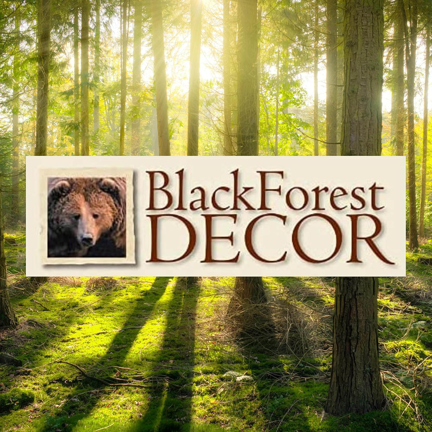 BLACK FOREST DECOR Dakota Sky Bed Set - Queen, Chenille, 9' Dia. x 20' L